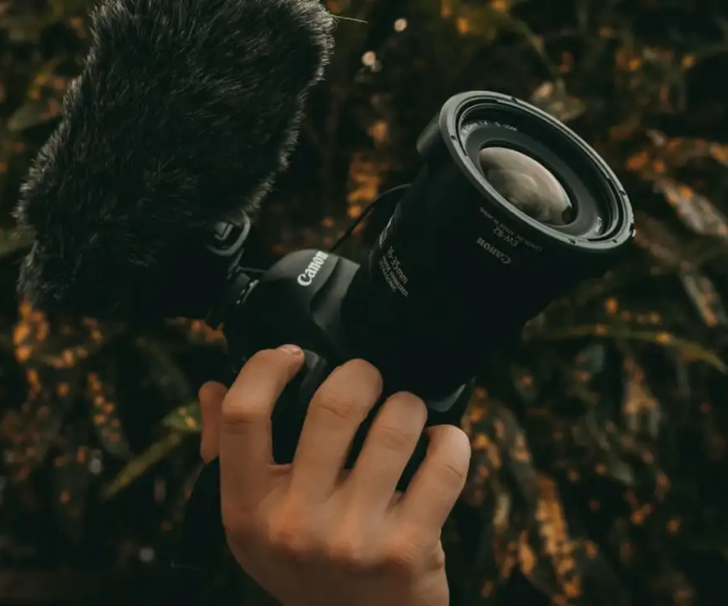 See the power of video storytelling by Tenerife Web Design