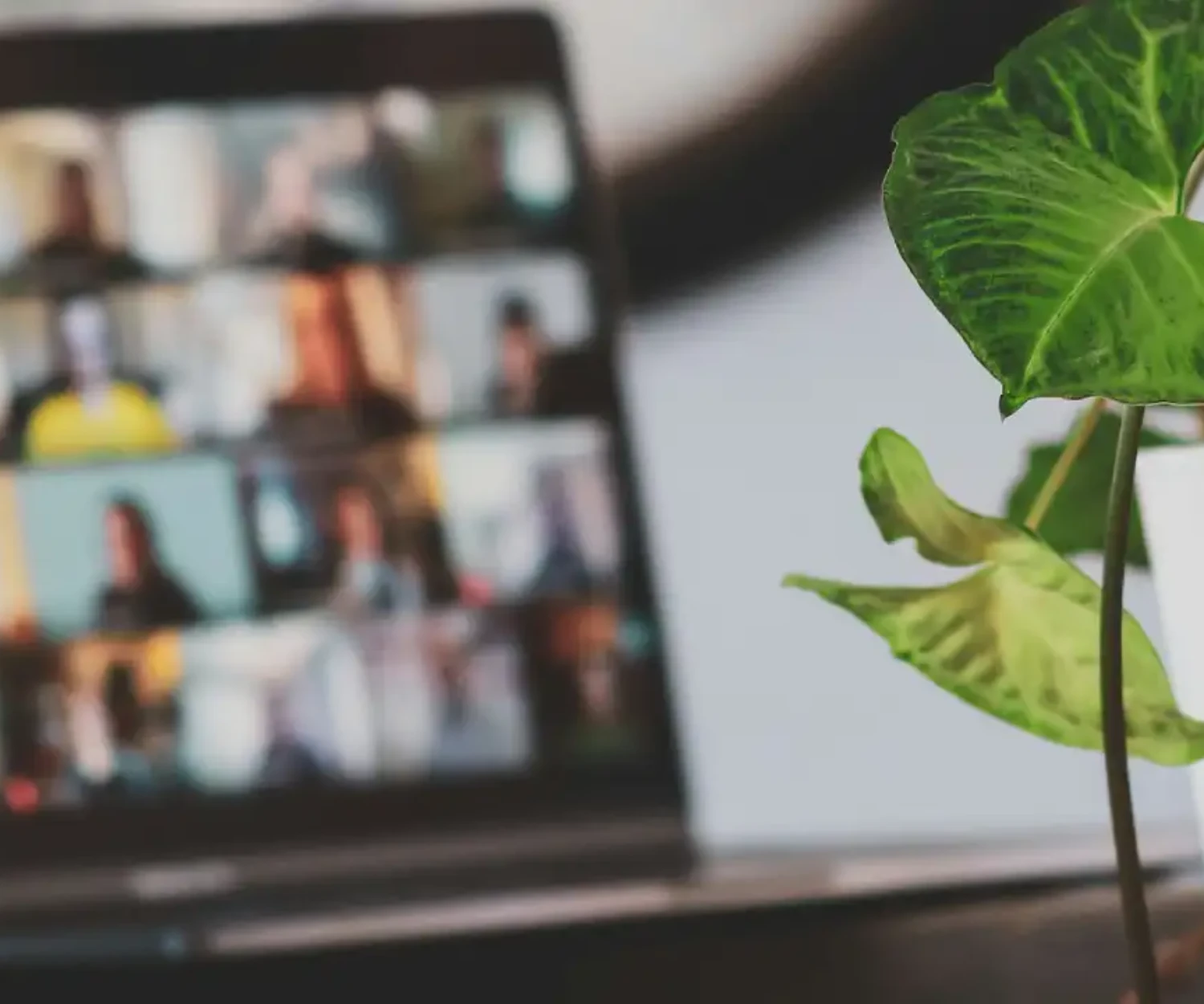 Tenerife Web Design explores Boosting Your Brand and How To Build a Strong Online Presence