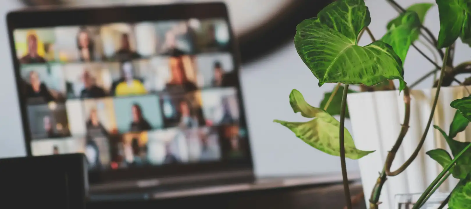 Tenerife Web Design explores Boosting Your Brand and How To Build a Strong Online Presence