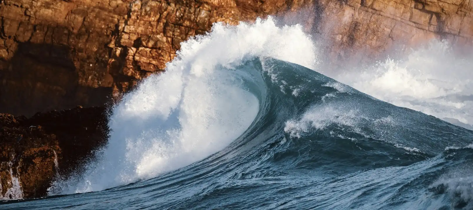 Do you really need a website in 2025? Read this article to find out