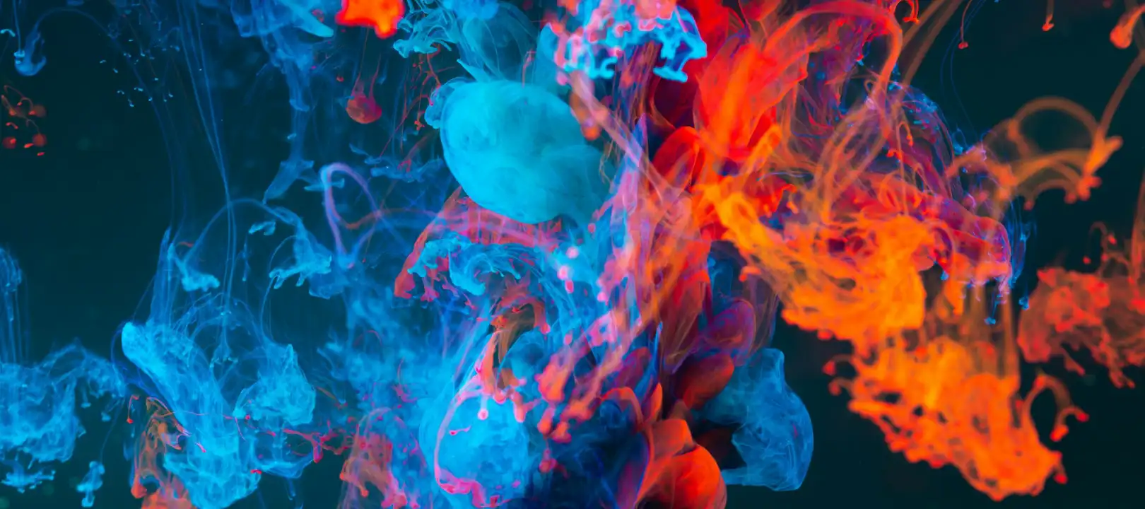 Social media stats 2025 applied to Tenerife Businesses