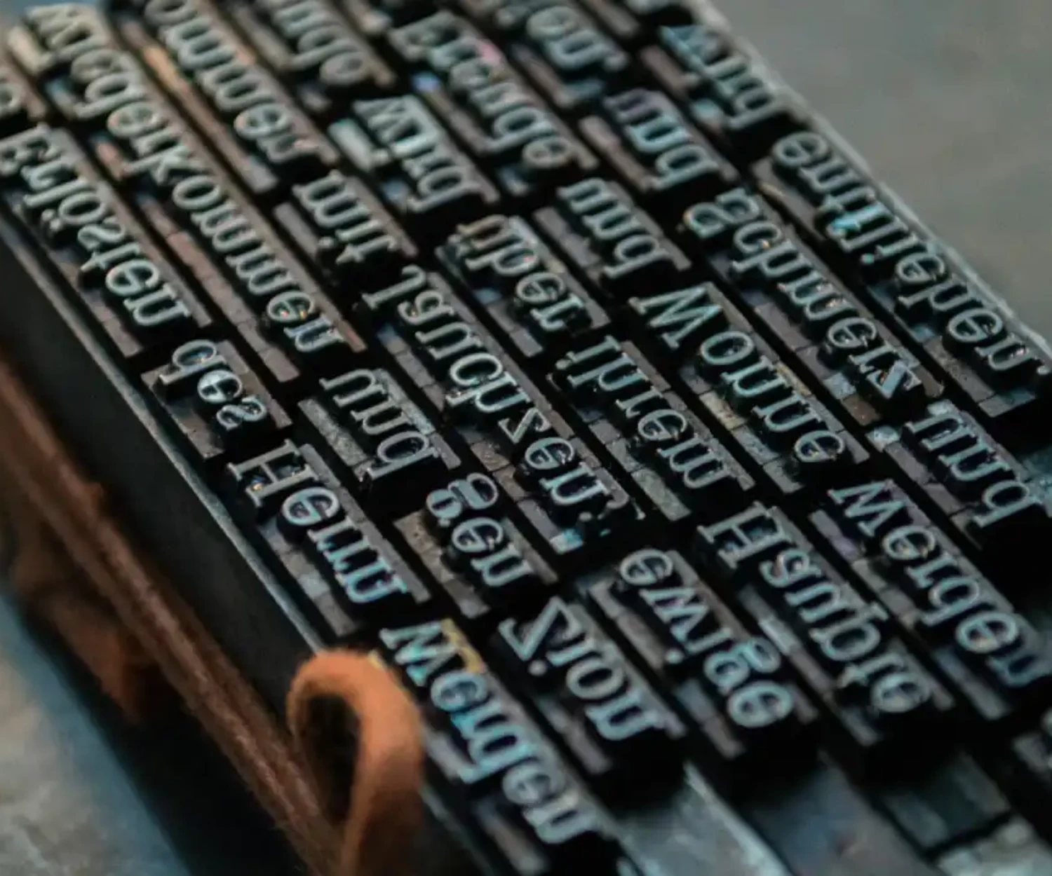 The Rise of WordPress - explored by Tenerife Web Design