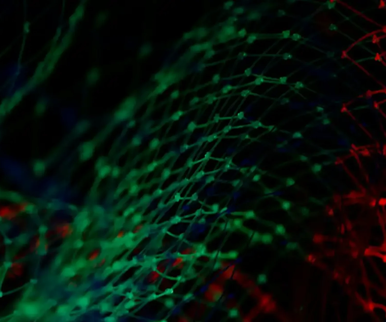 What is Machine Learning - an exploration by Tenerife Web Design